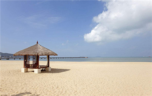 笨小鸭手撕面包