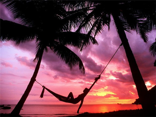 泸州老窖壹号窖代理