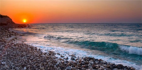 麦地初茶网红茶饮
